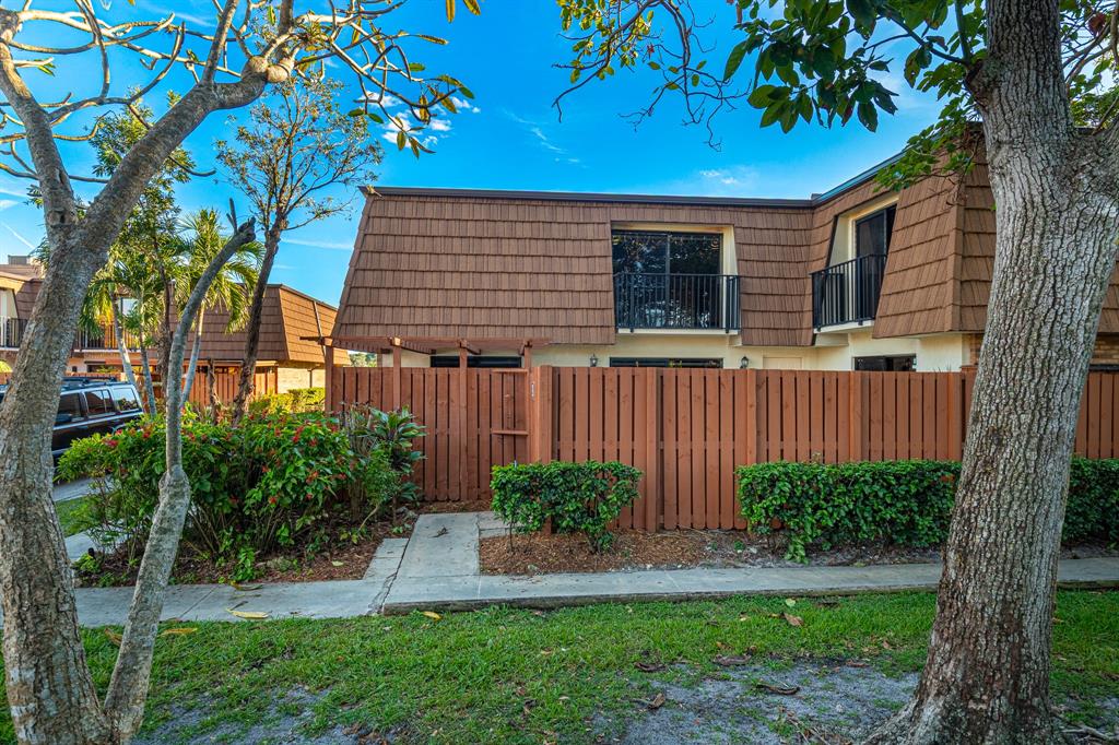 a view of a backyard with plants and large trees
