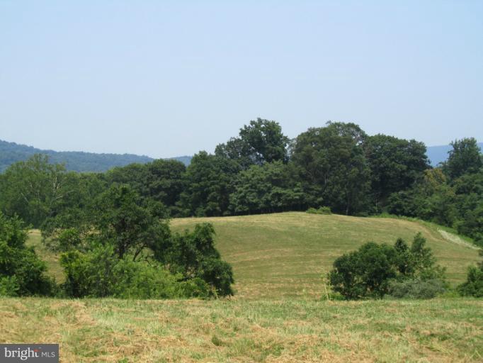 Sandy Hook Road Huntly, VA 22640 - Photo 1 of 3 View of perc site above Rappahannock River