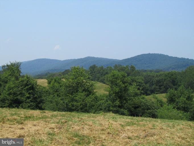 Sandy Hook Road Huntly, VA 22640 - Photo 3 of 3 View to the north
