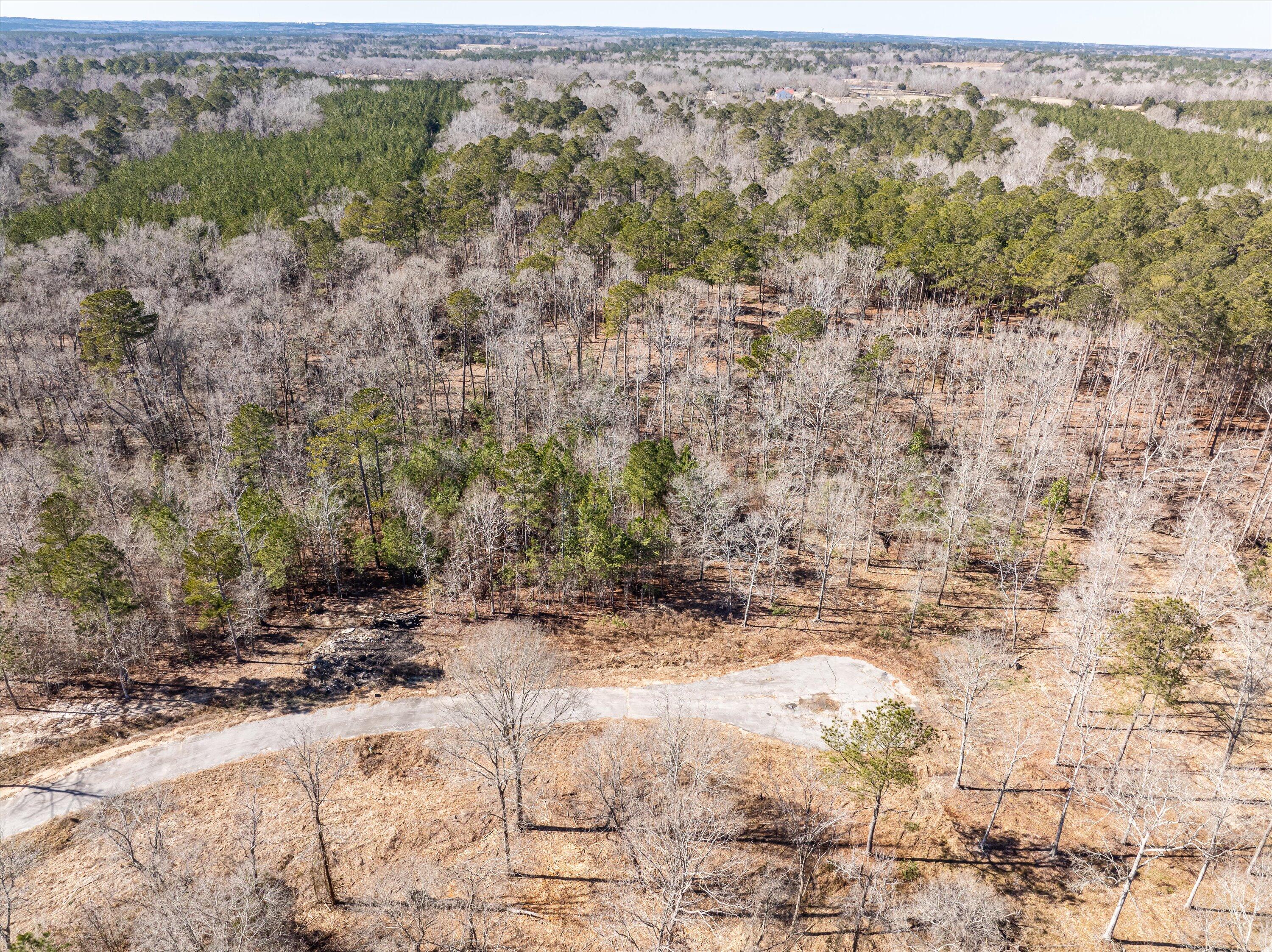 141 Gin Branch Road Thomson, GA 30824 - Photo 1 of 4 04-DJI_0605-HDR