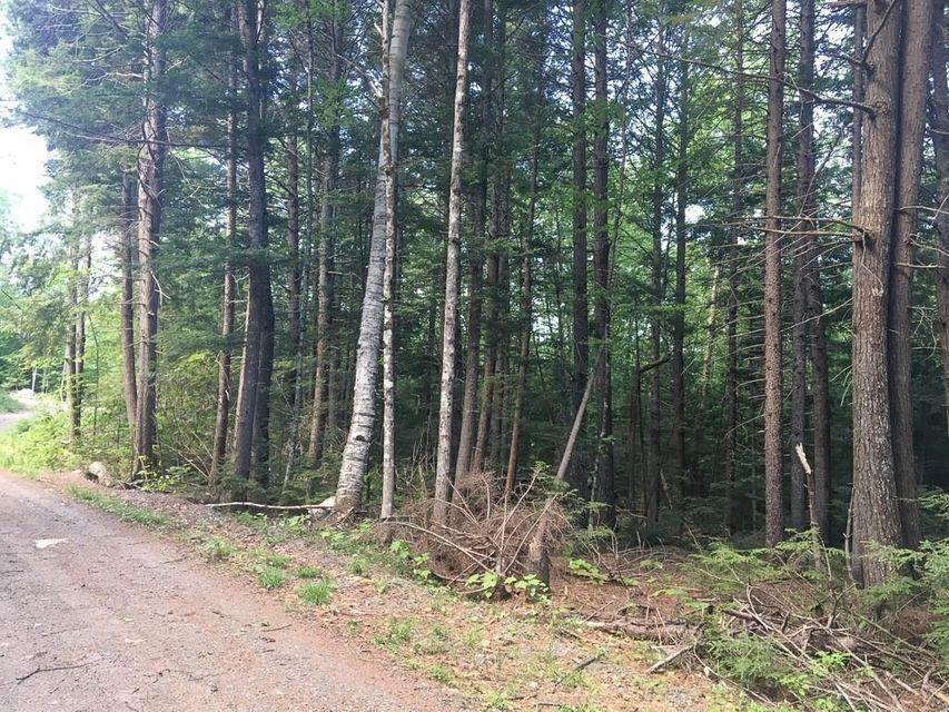 124 West Smith Pond Road Millinocket, ME 04462 - Photo 5 of 7 road view smith pond