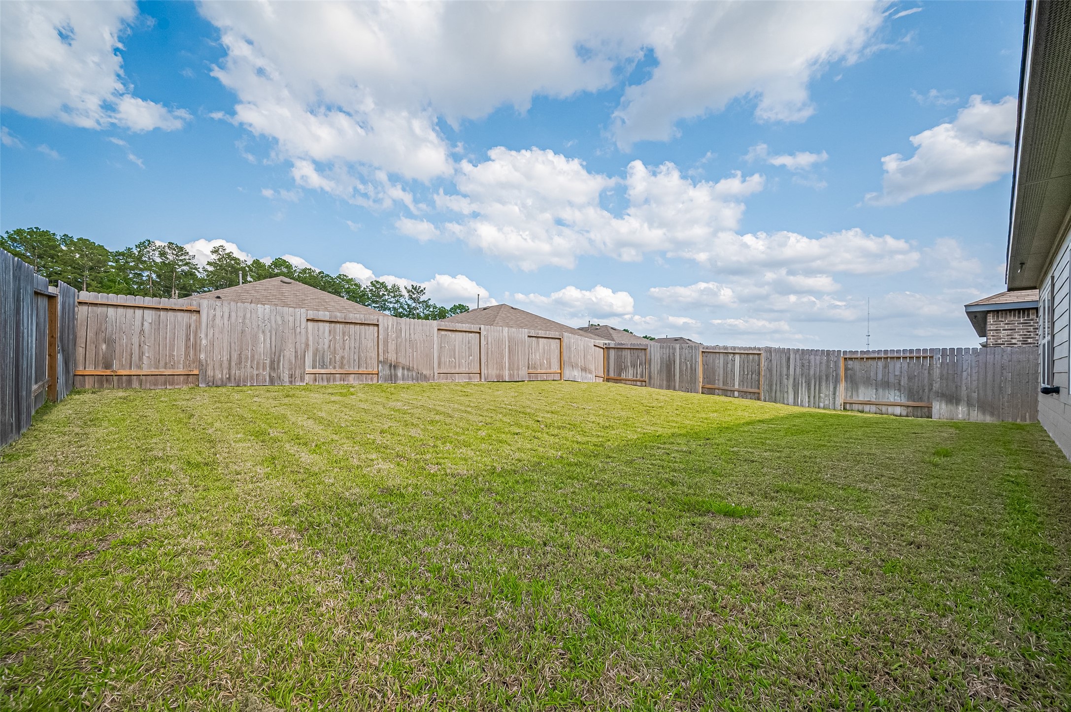 40434 Basalt Elm Road Magnolia, TX 77354 - Photo 35 of 41 a view of a back yard
