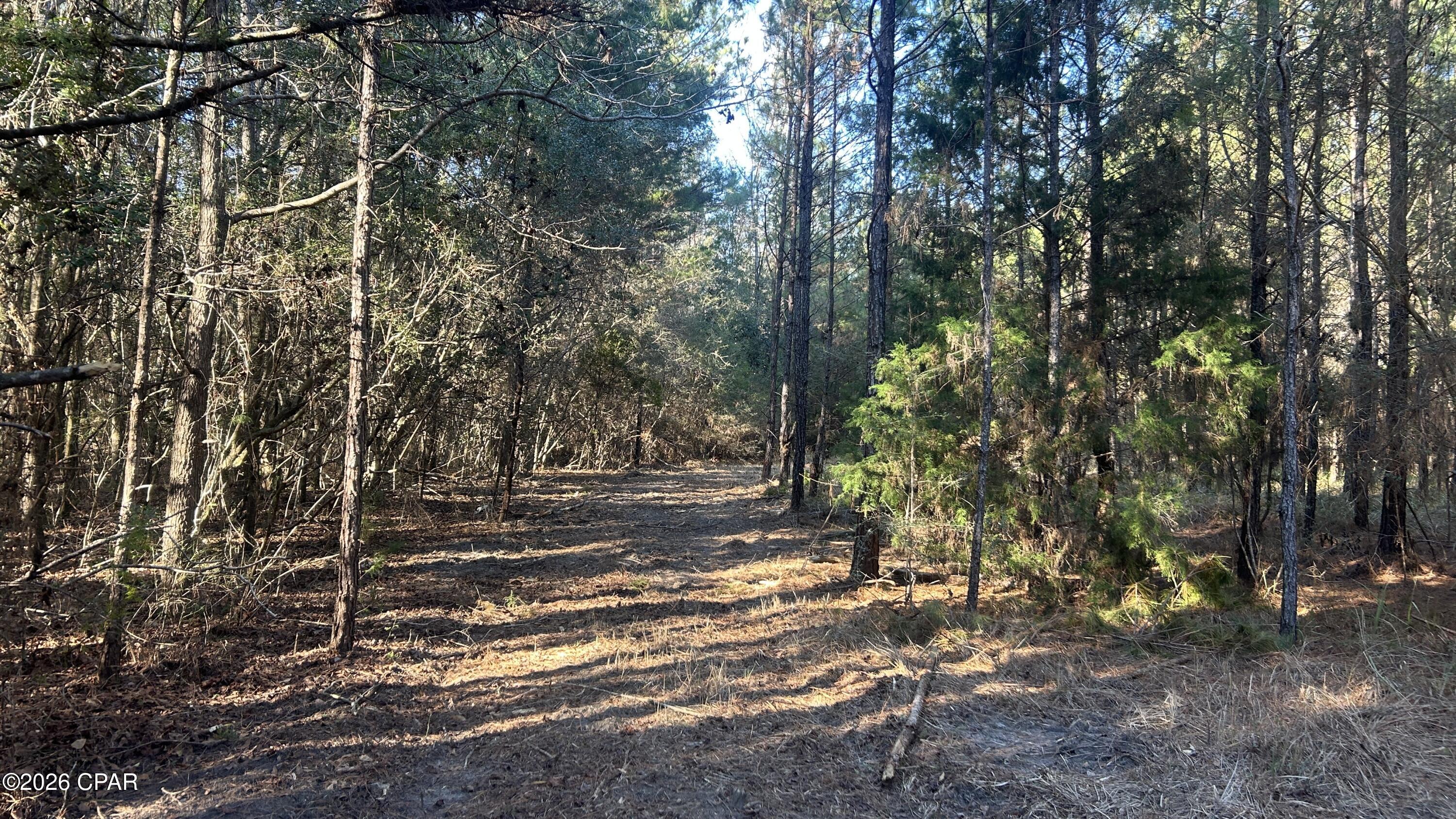 660 White Creek Road Ponce de Leon, FL 32455 - Photo 14 of 40