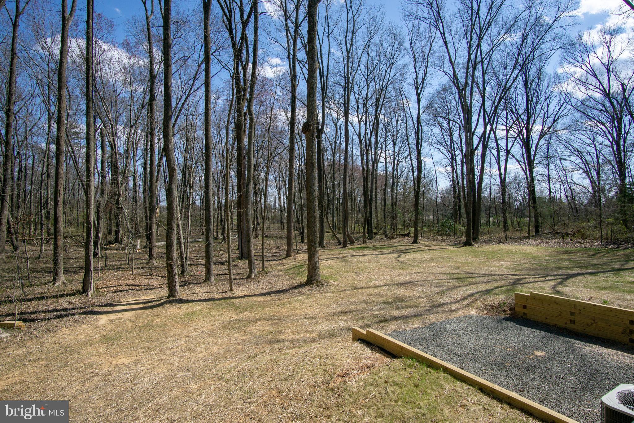 9334 Meetze Road Midland, VA 22728 - Photo 19 of 28 Side yard