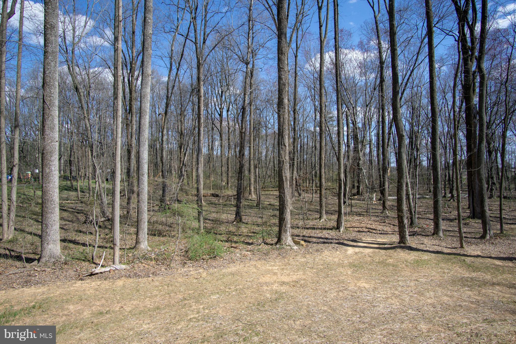 9334 Meetze Road Midland, VA 22728 - Photo 20 of 28 Rear
