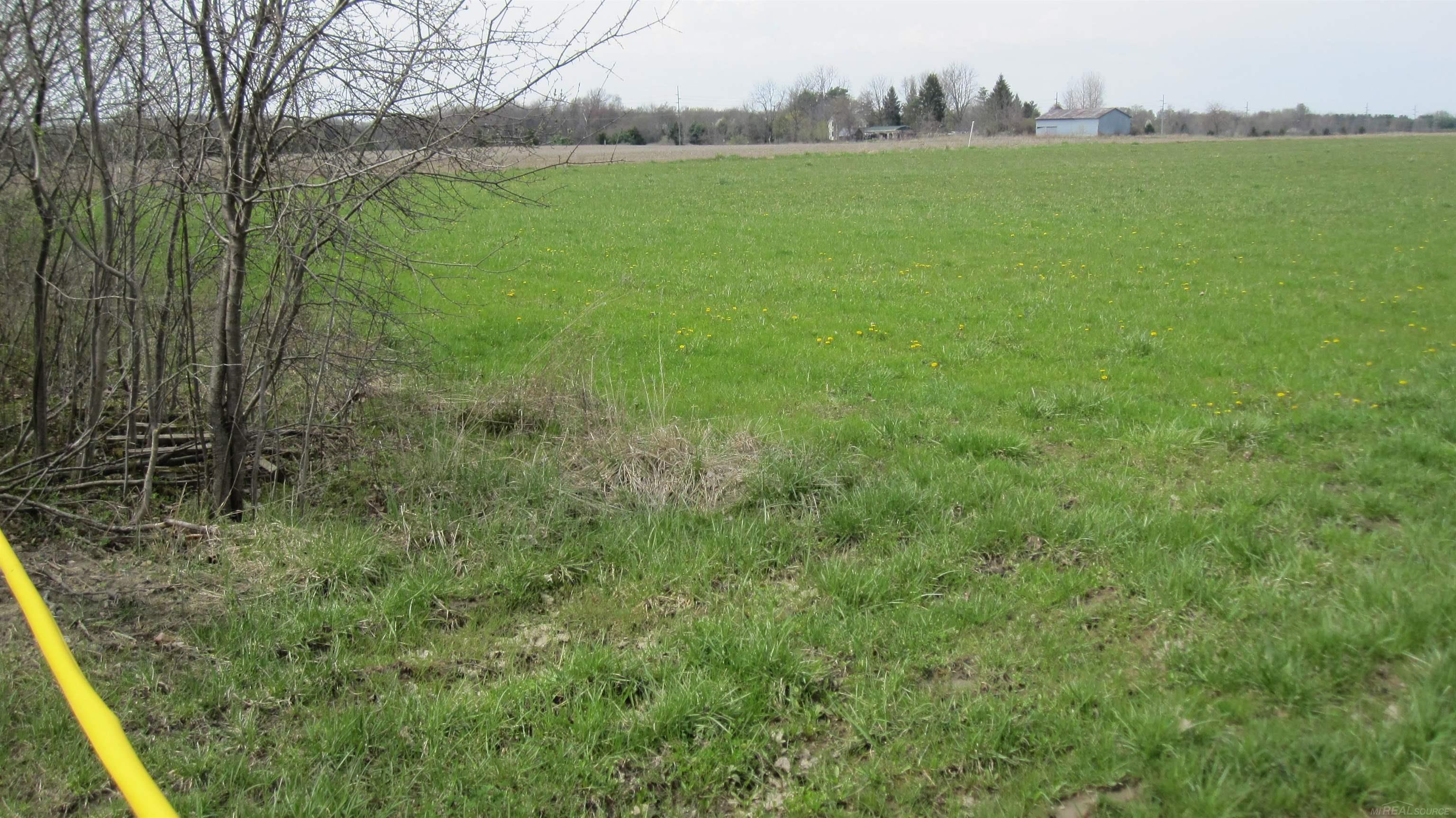 1-vl Jeddo Road Avoca, MI 48006 - Photo 8 of 18