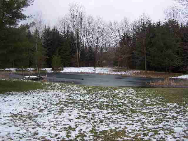 8662 Minard Road Parma, MI 49269 - Photo 2 of 10 Photo 2