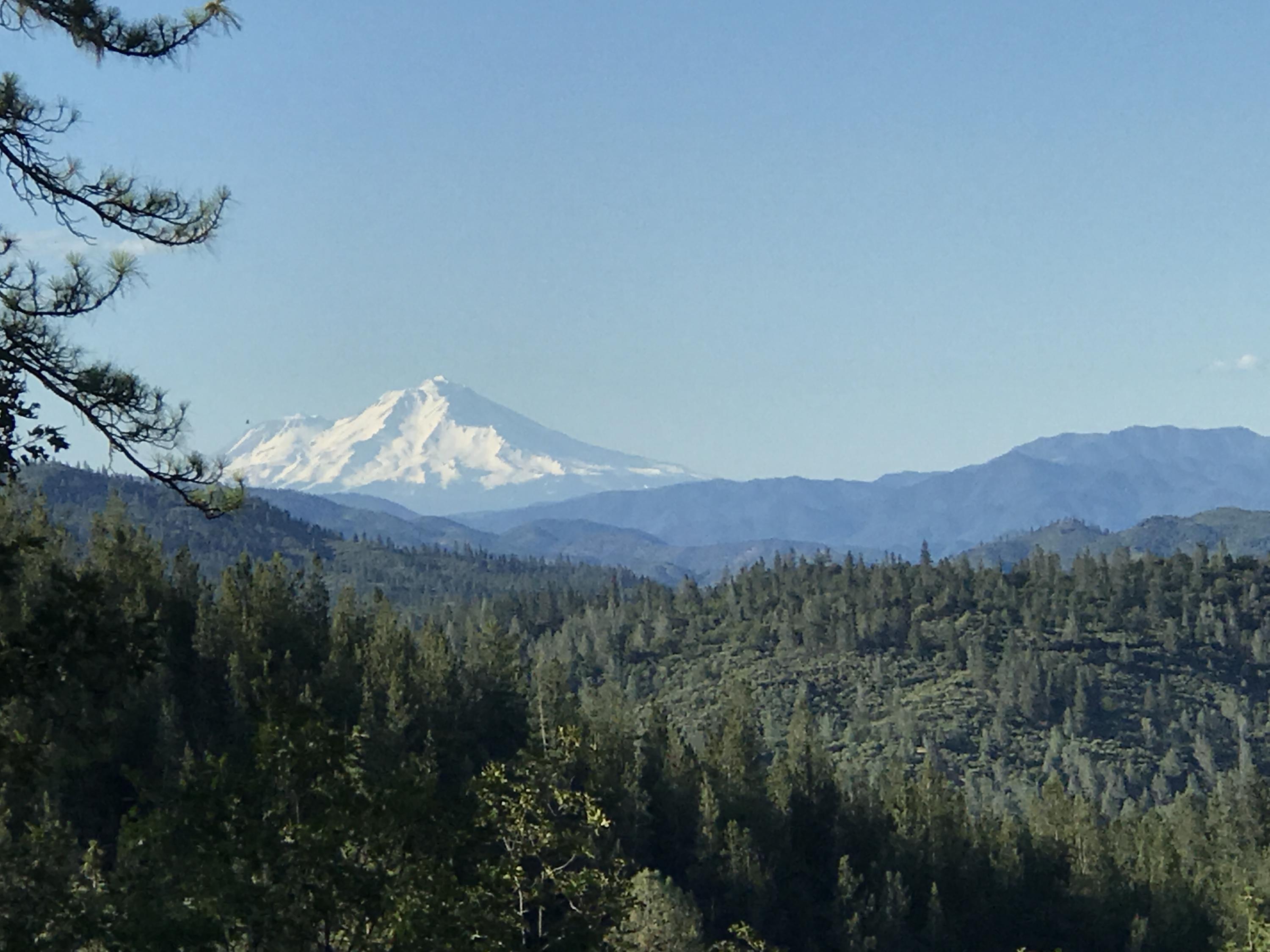 a view of a lake in middle of forest