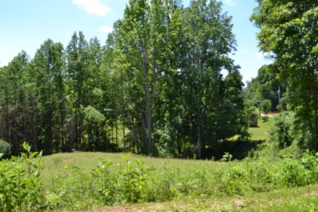 0 Pea Ridge Fire Tower Road Celina, TN 38551 - Photo 4 of 53
