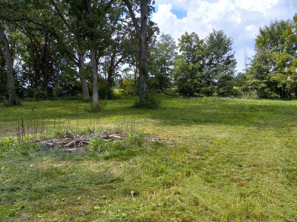 1468 F S Road Medora, IL 62063 - Photo 4 of 8