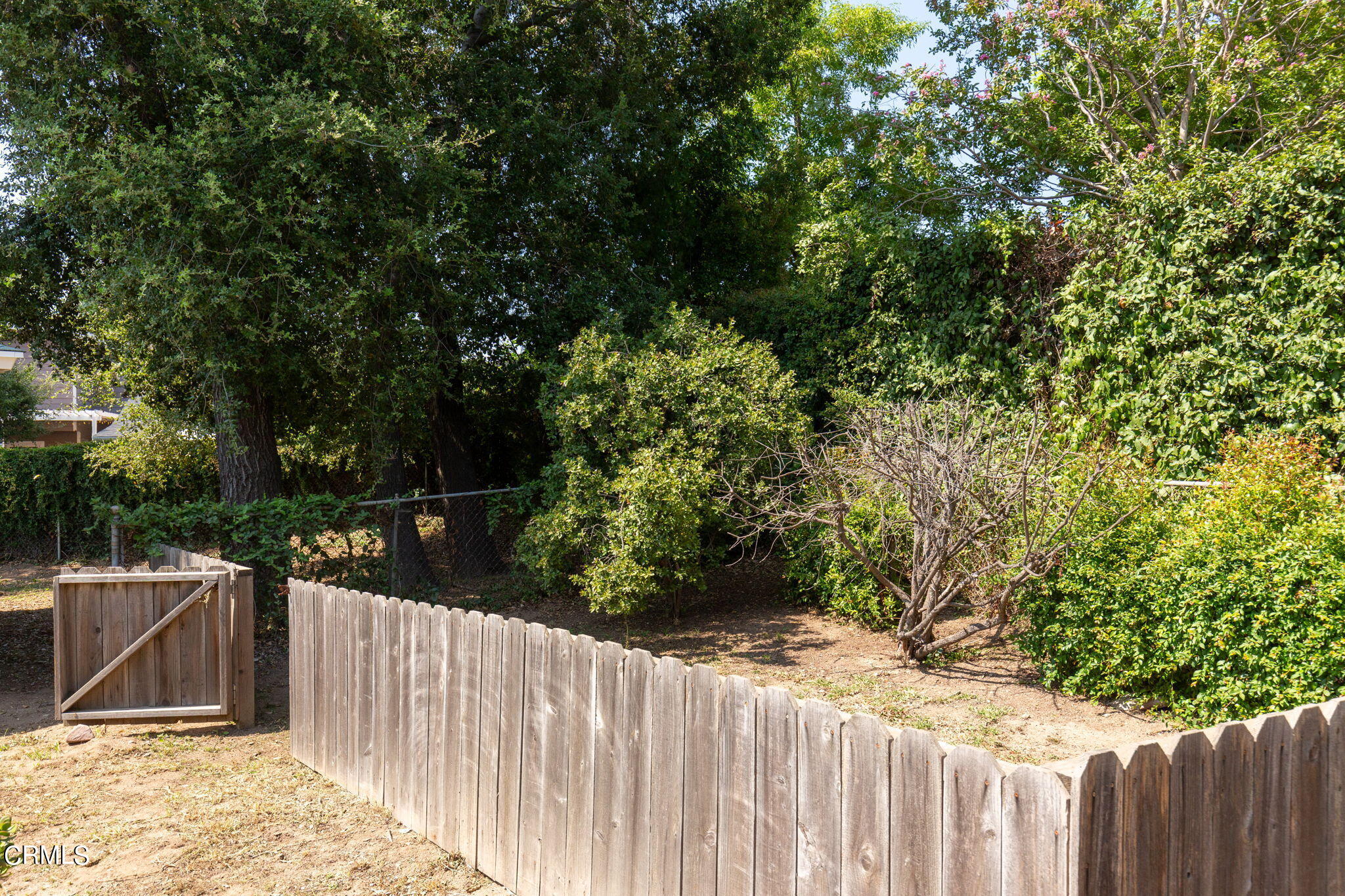 3565 McNally Avenue Altadena, CA 91001 - Photo 19 of 33 a view of a backyard