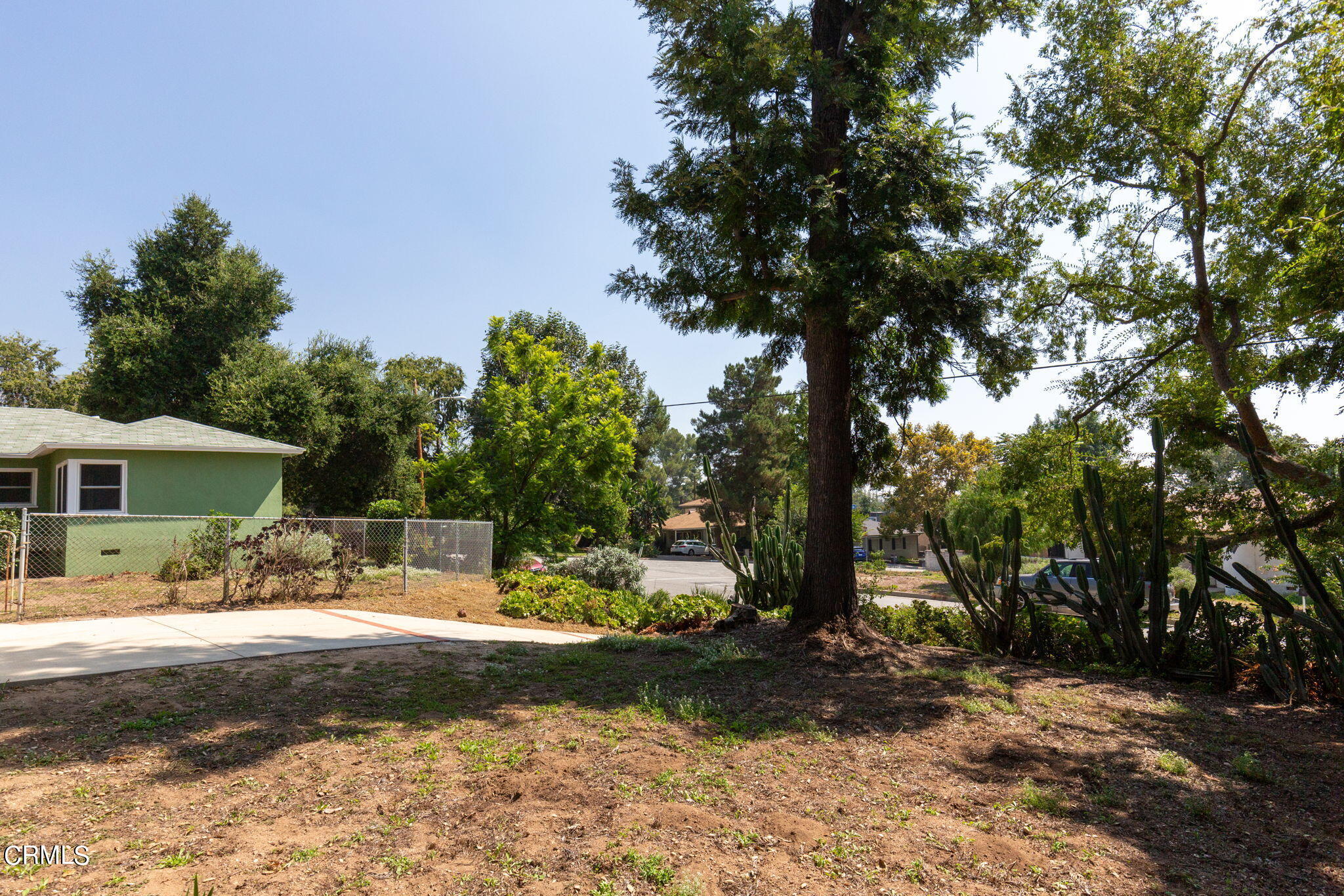 3565 McNally Avenue Altadena, CA 91001 - Photo 22 of 33 a view of a yard with trees beside of it