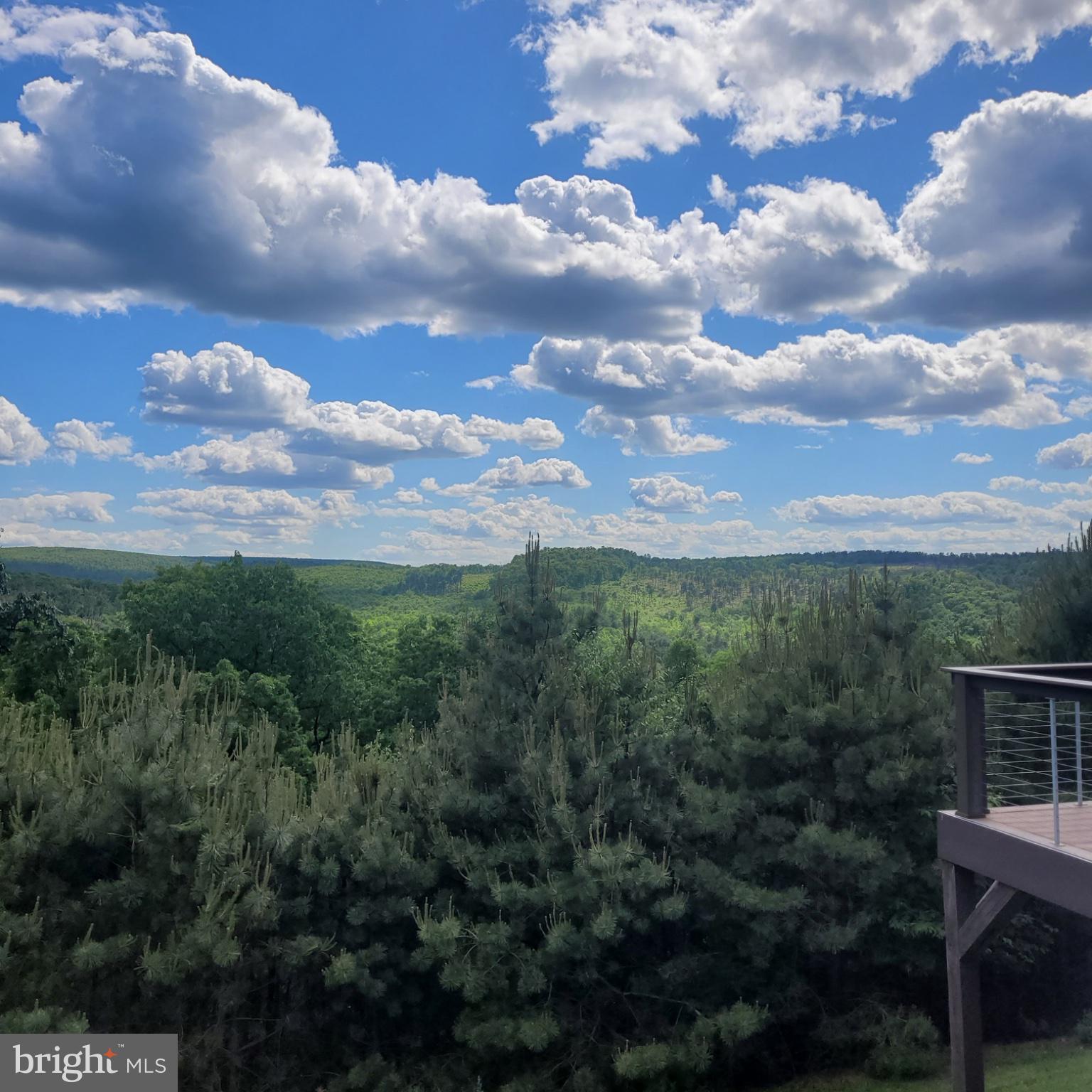 729 High Mountain Road Gardners, PA 17324 - Photo 5 of 15 a view of a city with lush green forest