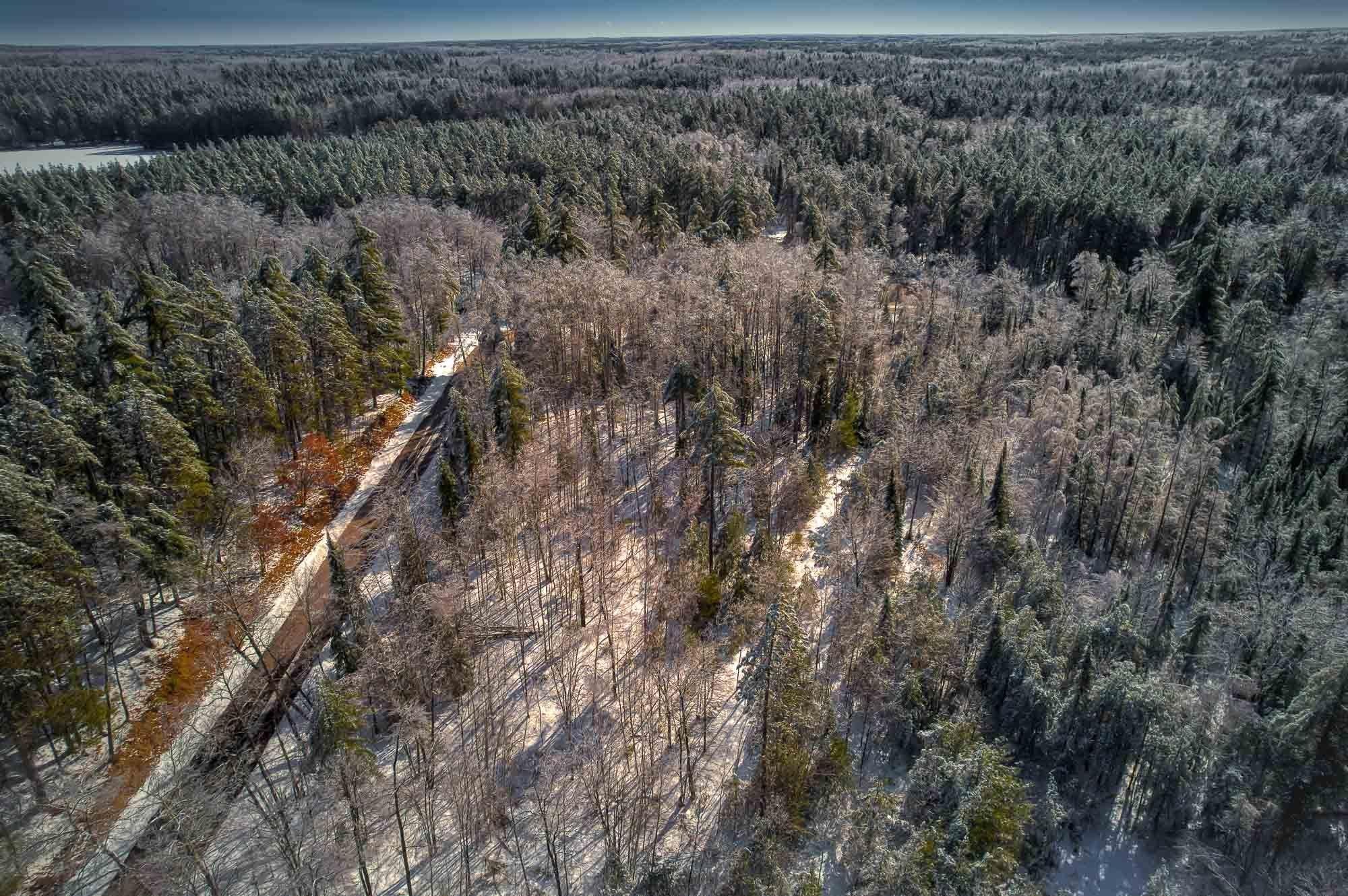 Parcel B Hixon Lake Road Rhinelander, WI 54501 - Photo 4 of 7 Gallery Image 4