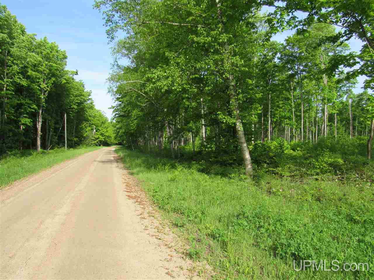11998 Roy Wright Road Shingleton, MI 49884 - Photo 1 of 36