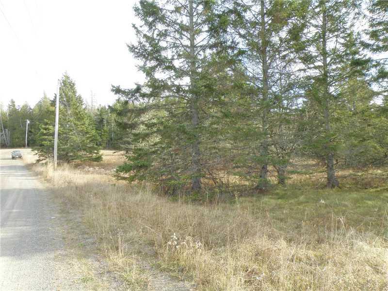 0 Leach Point Perry, ME 04667 - Photo 3 of 10 Land/Lot. Fntg along Boat Landing Road