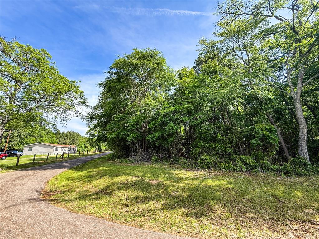 Tbd White Oak Road Big Sandy, TX 75755 - Photo 8 of 24