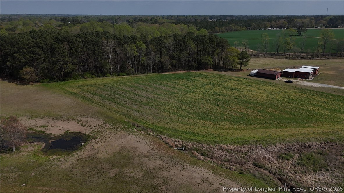 Hannah Creek Road Benson, NC 27504 - Photo 3 of 5