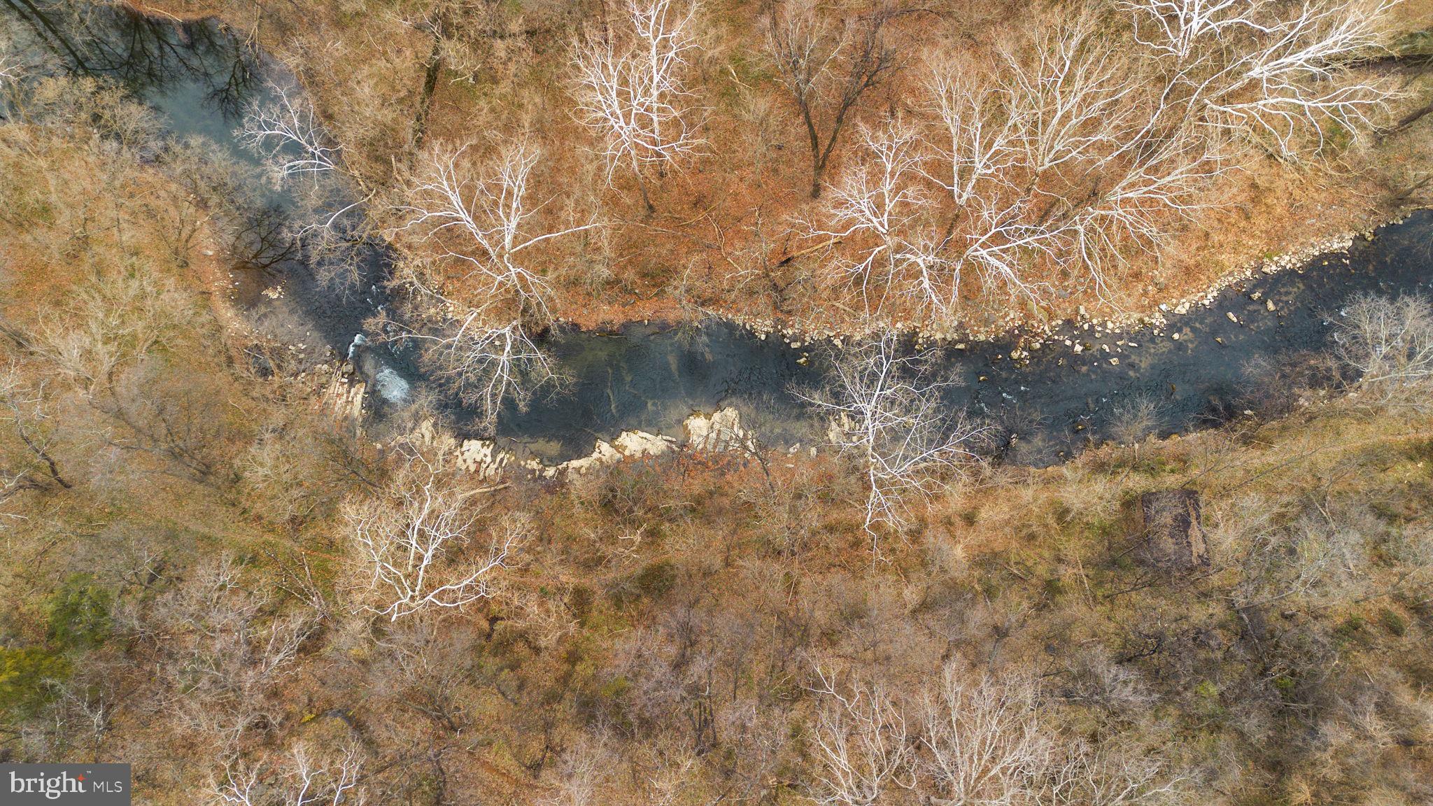 Harpers Ferry Road Sharpsburg, MD 21782 - Photo 8 of 10 a closeup of a tree