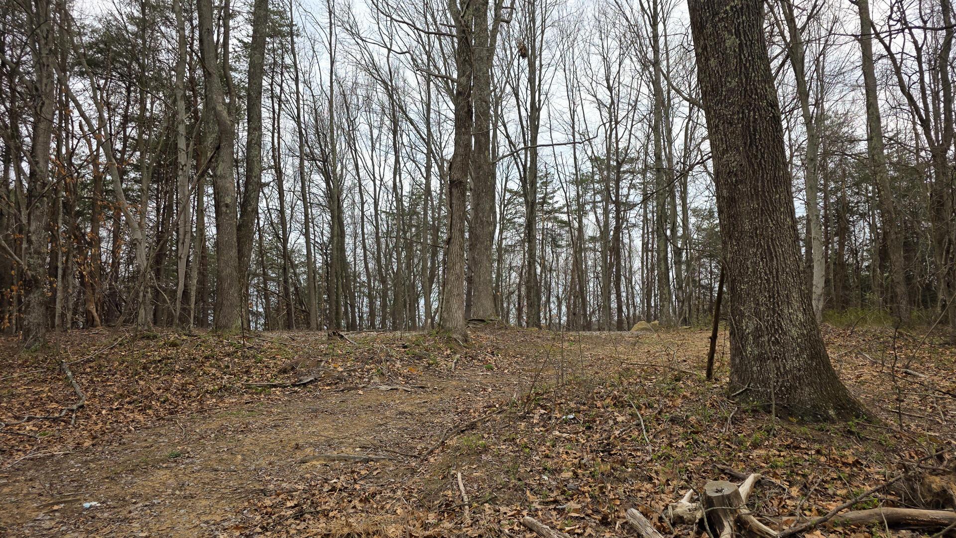 818 Campaign Poplar Road, Unit PONDS POPLAR RIDGE TRACT 4) Gallipolis, OH 45631 - Photo 15 of 24 CT-15