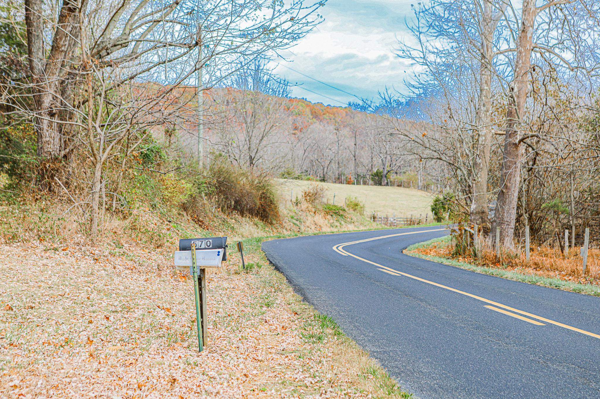 570 Mt Solon Road Mount Solon, VA 22843 - Photo 11 of 36 a view of a yard with plants