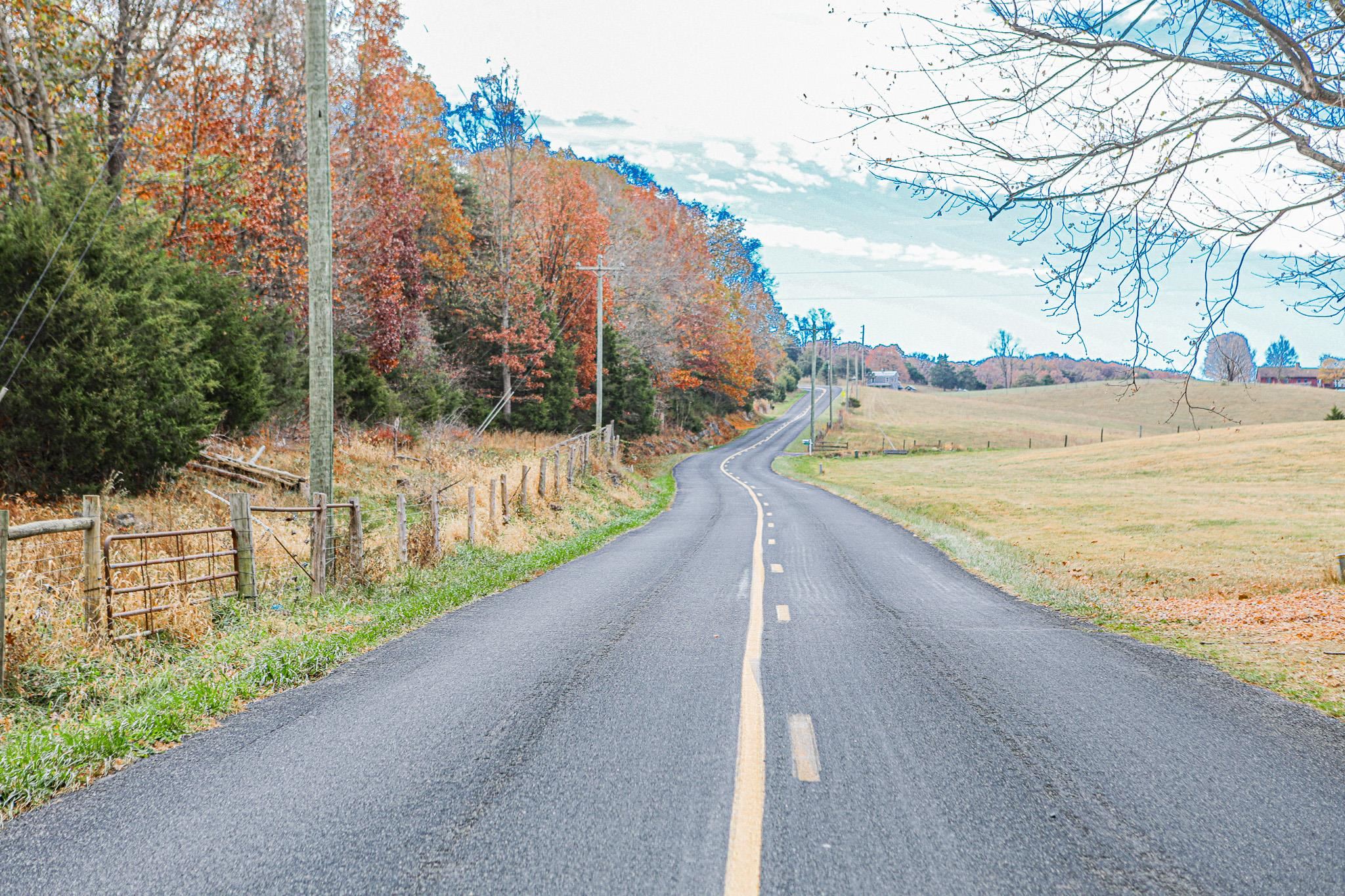570 Mt Solon Road Mount Solon, VA 22843 - Photo 10 of 36 a view of an outdoor space and city view