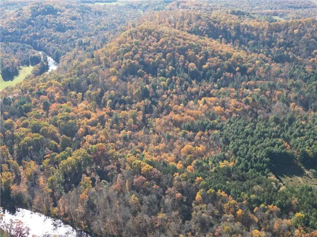 a view of a forest with a lake