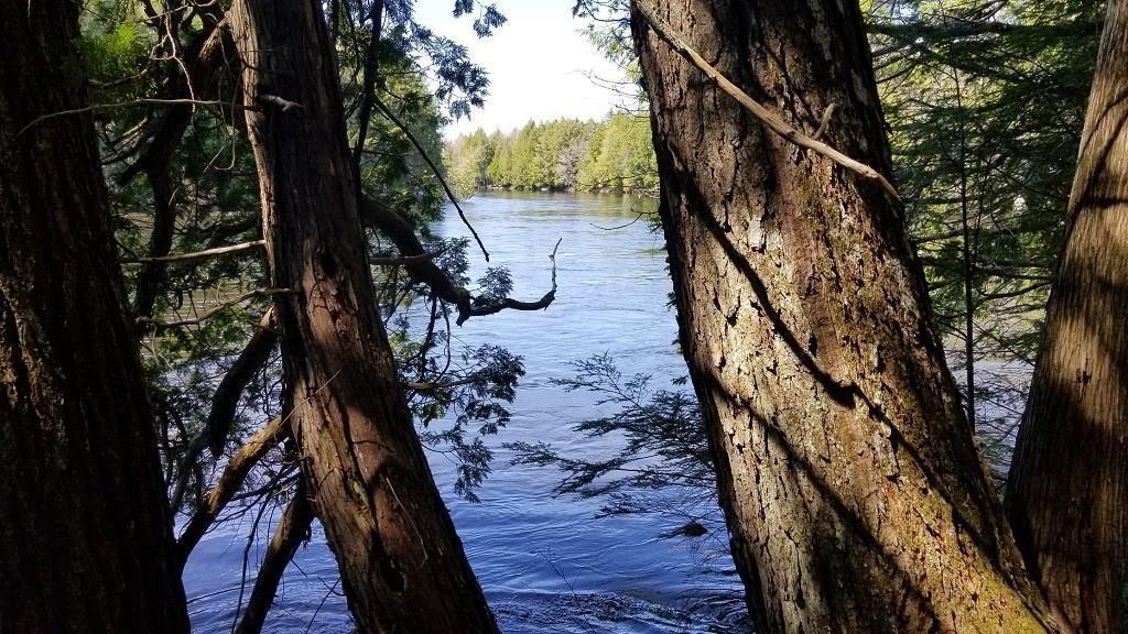 14-15 Haynes Road Wytopitlock, ME 04497 - Photo 20 of 31 River 1