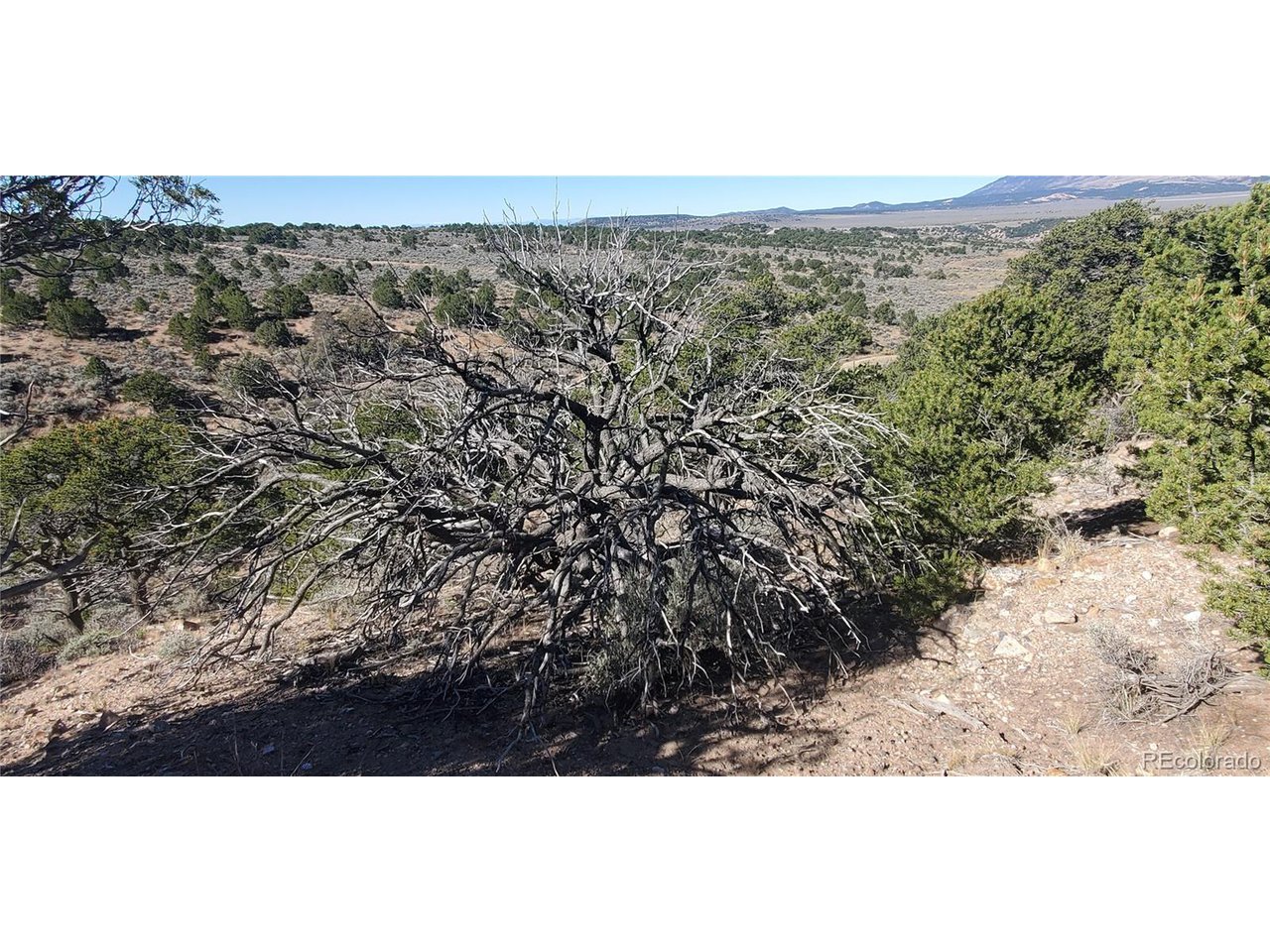 7356 Bidwell Road Fort Garland, CO 81133 - Photo 14 of 23 a view of a large mountain with a forest