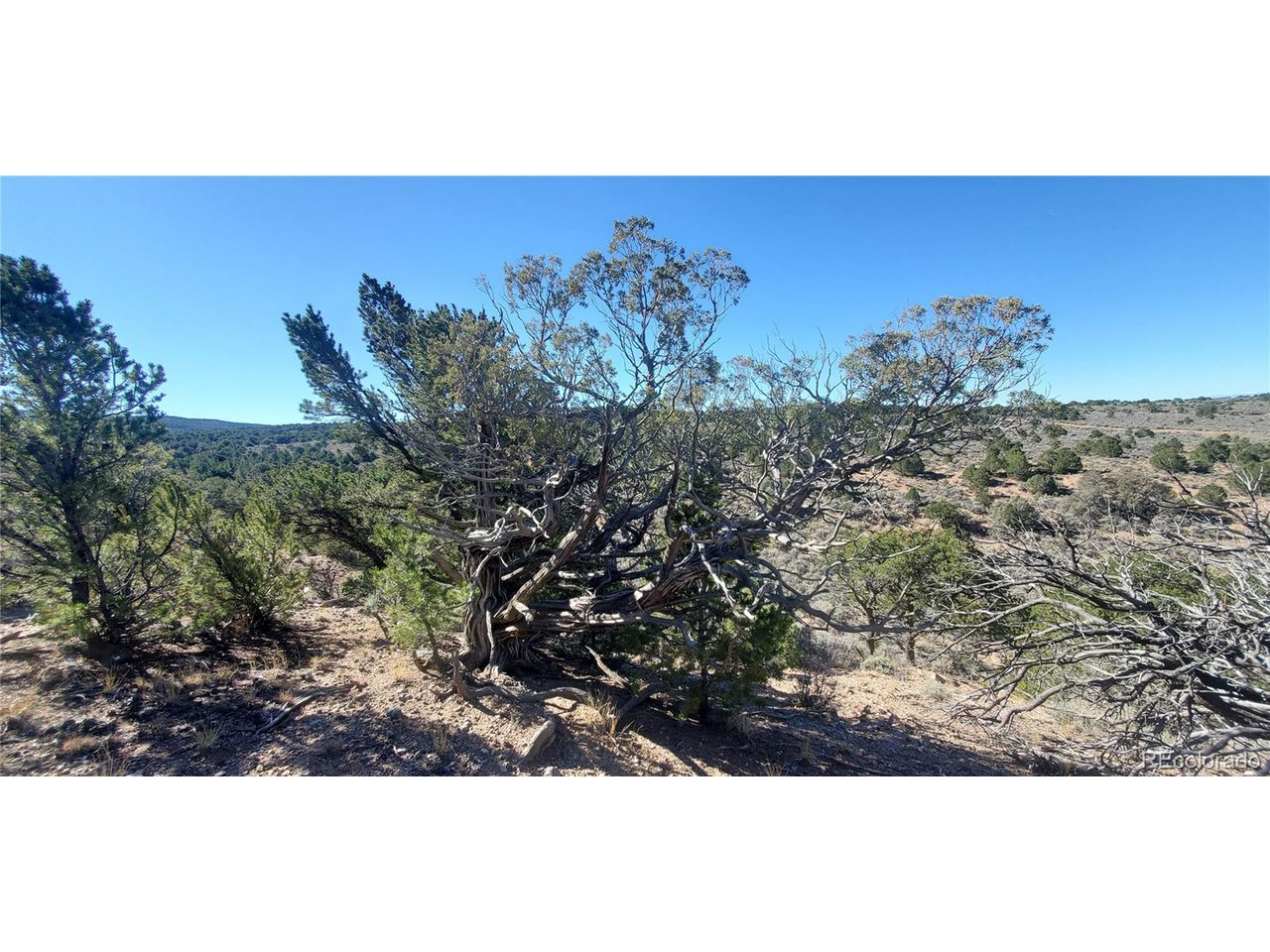 7356 Bidwell Road Fort Garland, CO 81133 - Photo 15 of 23 a view of a sky