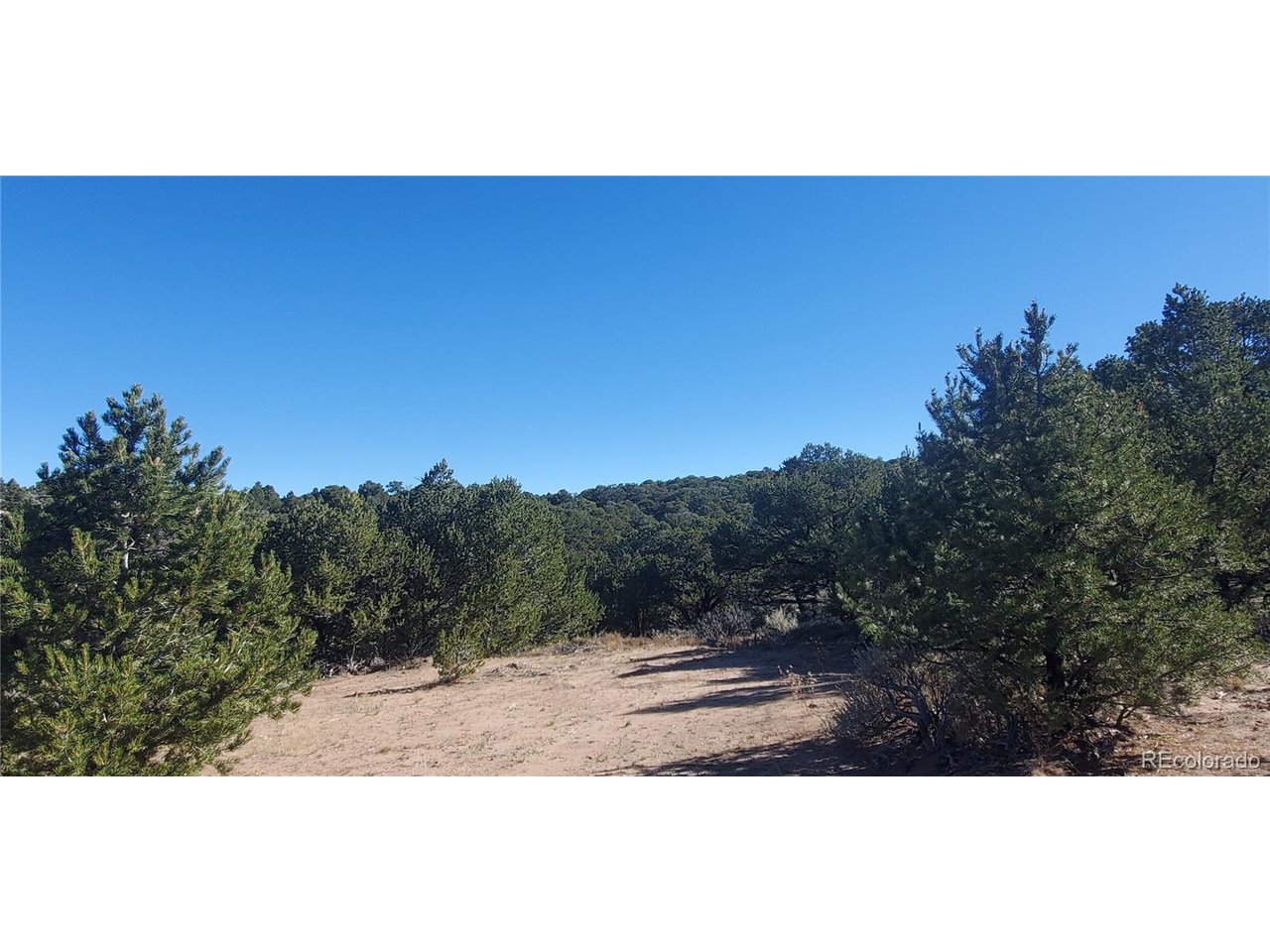 7356 Bidwell Road Fort Garland, CO 81133 - Photo 16 of 23 a view of a sky