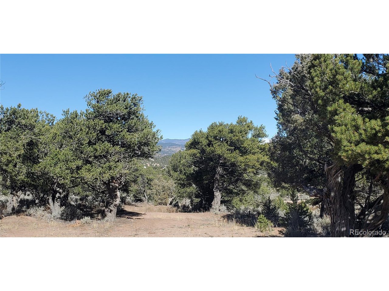 7356 Bidwell Road Fort Garland, CO 81133 - Photo 21 of 23 a view of a sky