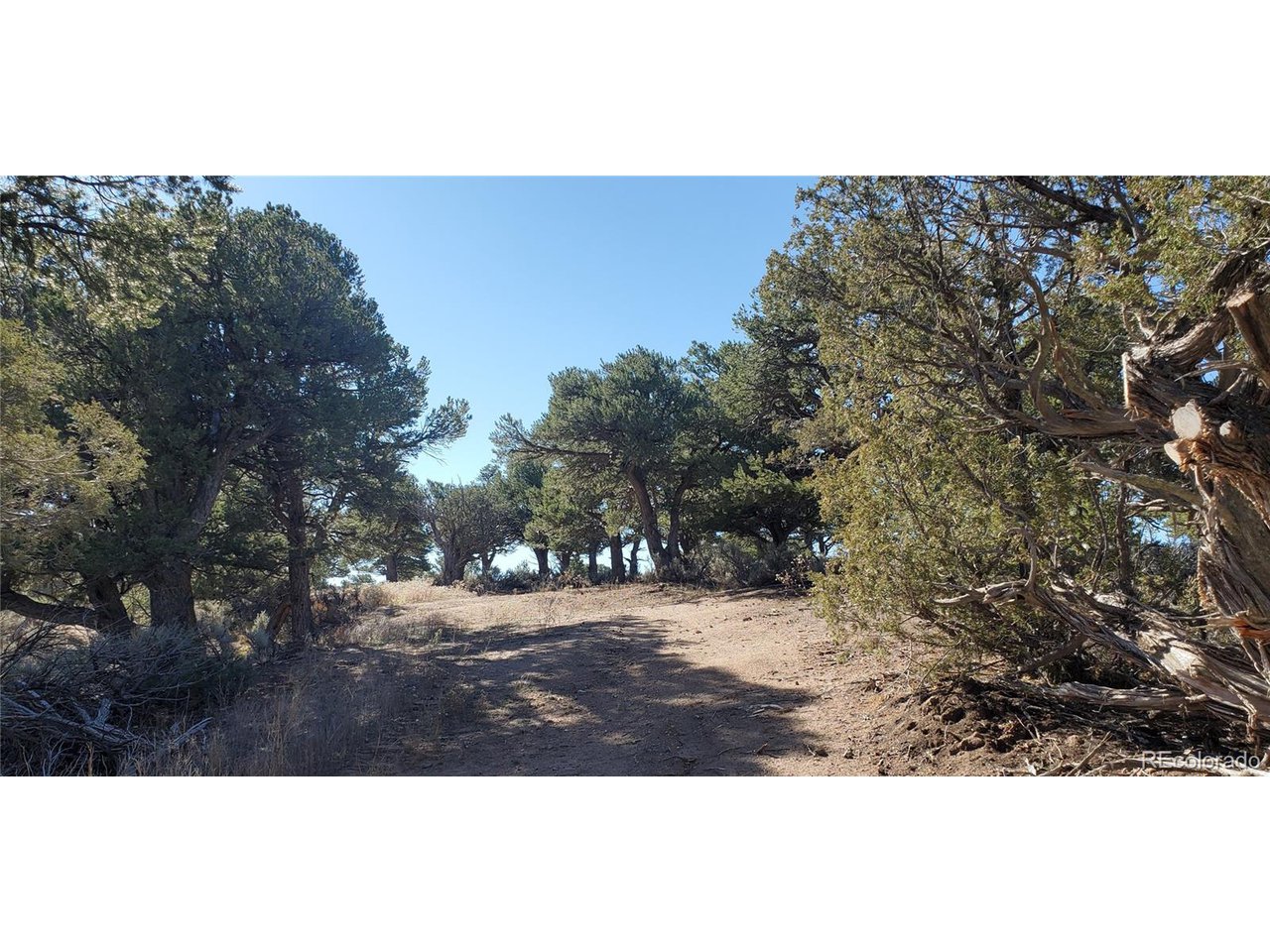 7356 Bidwell Road Fort Garland, CO 81133 - Photo 4 of 23 a view of outdoor space with mountain view