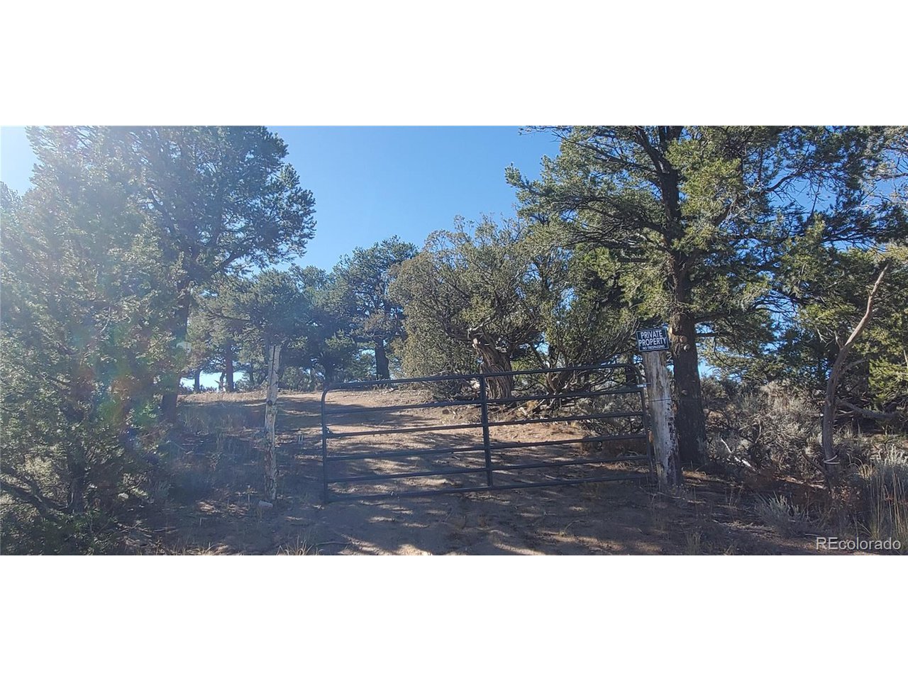 7356 Bidwell Road Fort Garland, CO 81133 - Photo 7 of 23 a view of yard with green space