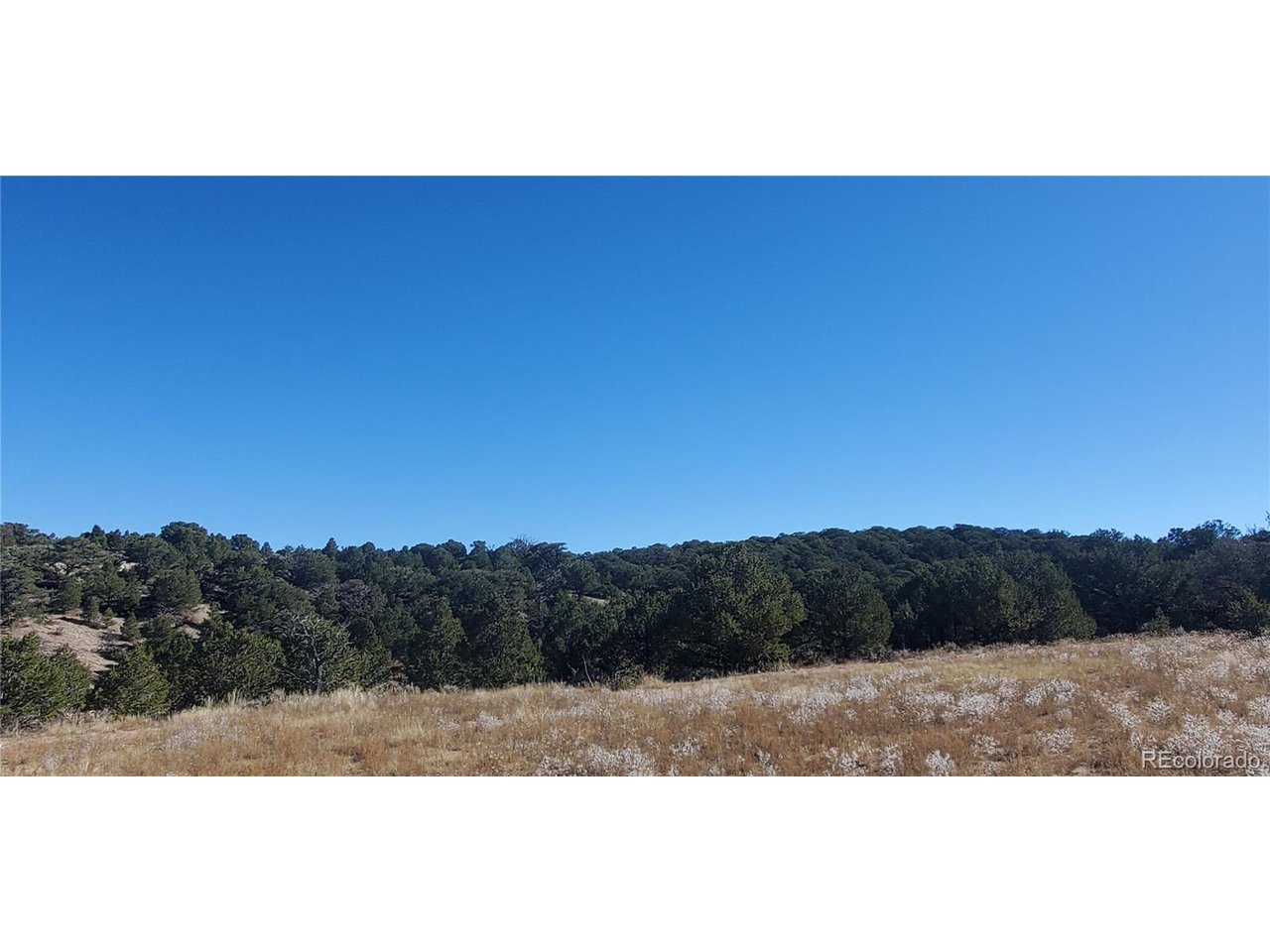 7356 Bidwell Road Fort Garland, CO 81133 - Photo 10 of 23