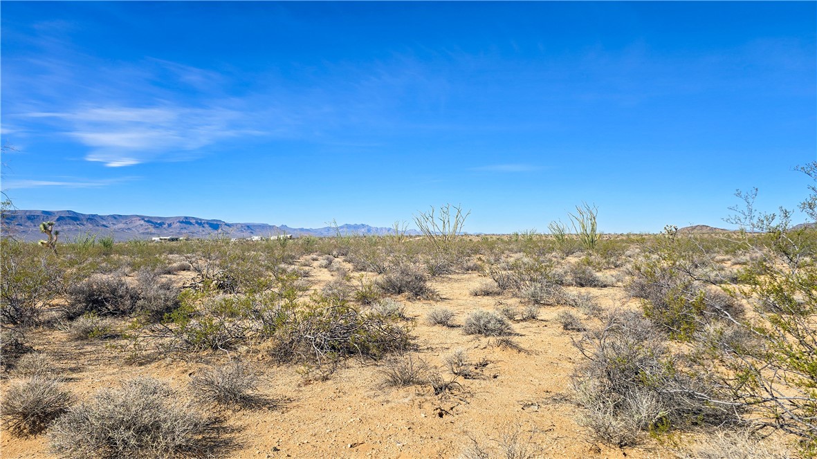 245-21-008 South Ray Road Yucca, AZ 86438 - Photo 14 of 19