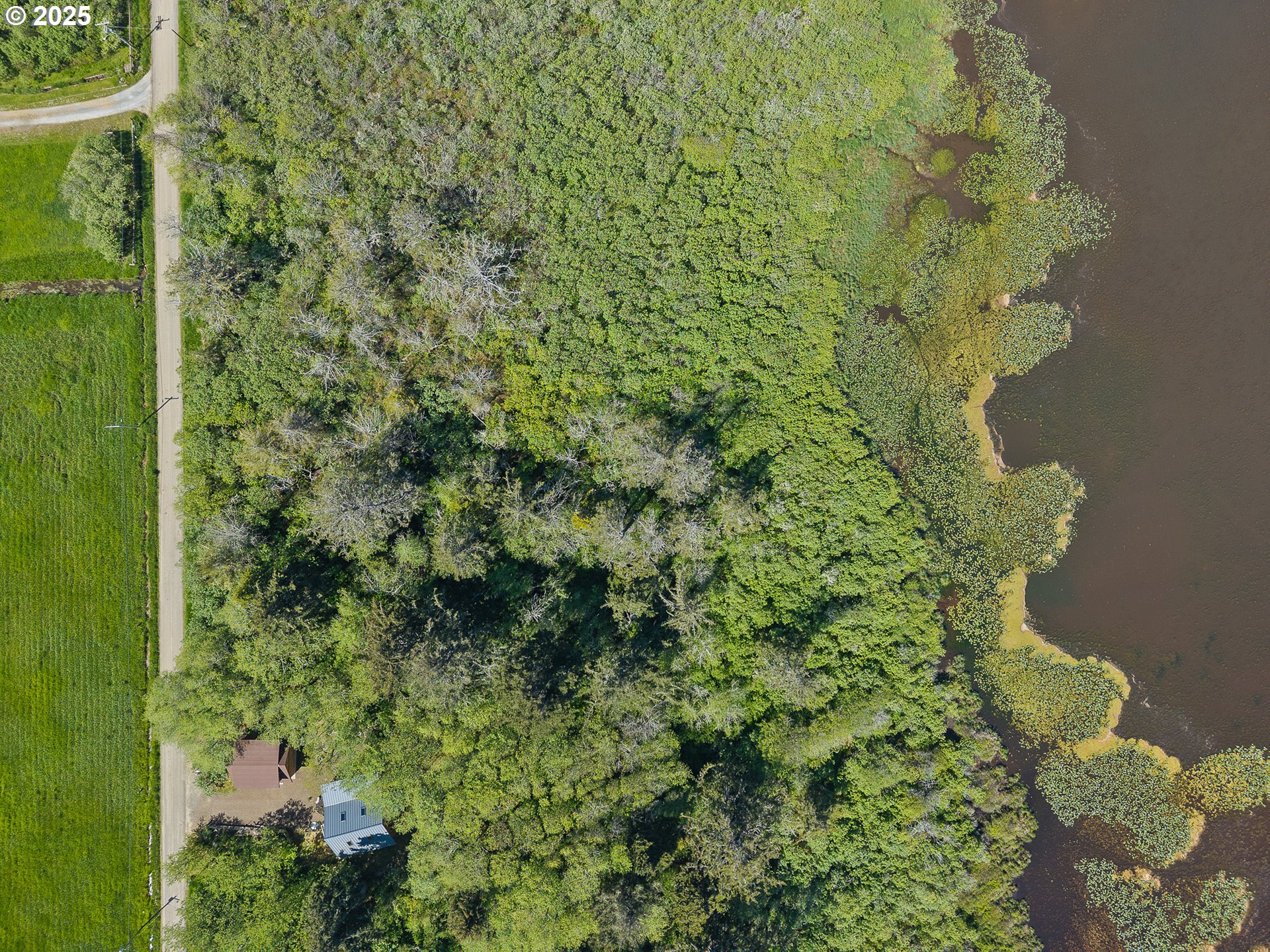 711 Northwest 6th Avenue Rockaway Beach, OR 97136 - Photo 6 of 47