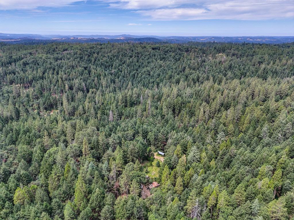 0 Marshall Road Georgetown, CA 95634 - Photo 12 of 15
