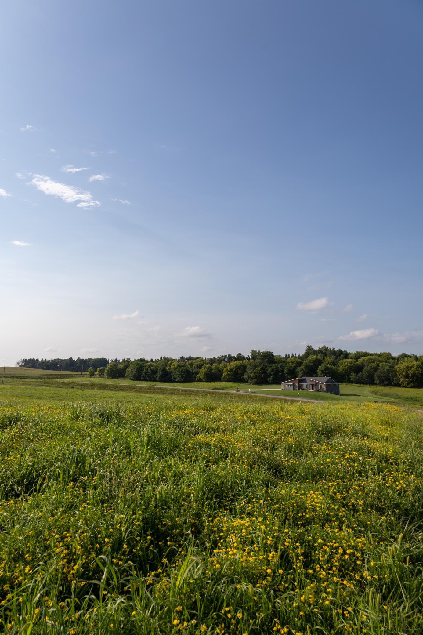 L3-b2 L3-b2 Boelter Estates Lane Northwest Rochester, MN 55901 - Photo 3 of 15