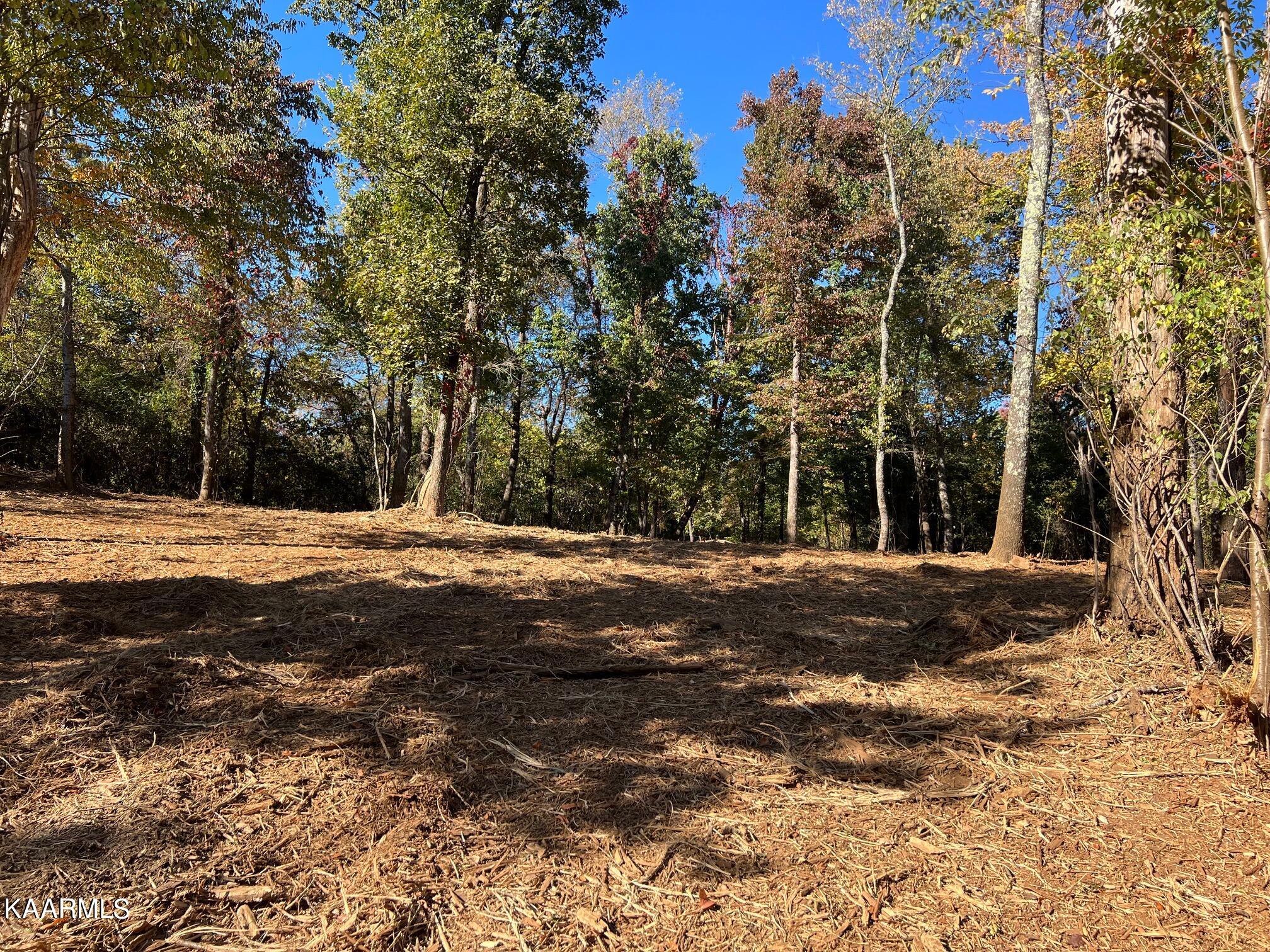 3131 Big Springs Road Friendsville, TN 37737 - Photo 13 of 28 IMG_2363