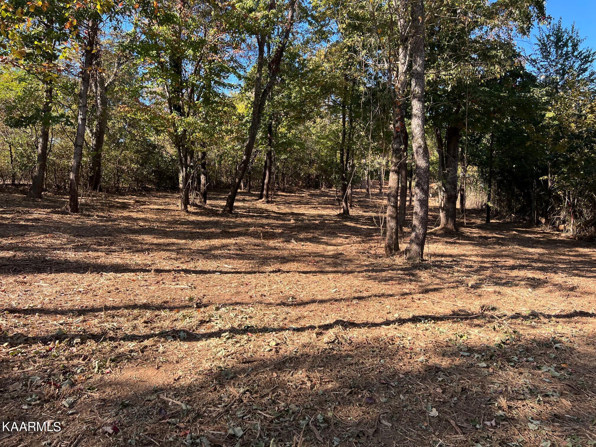 3131 Big Springs Road Friendsville, TN 37737 - Photo 19 of 28 IMG_2369