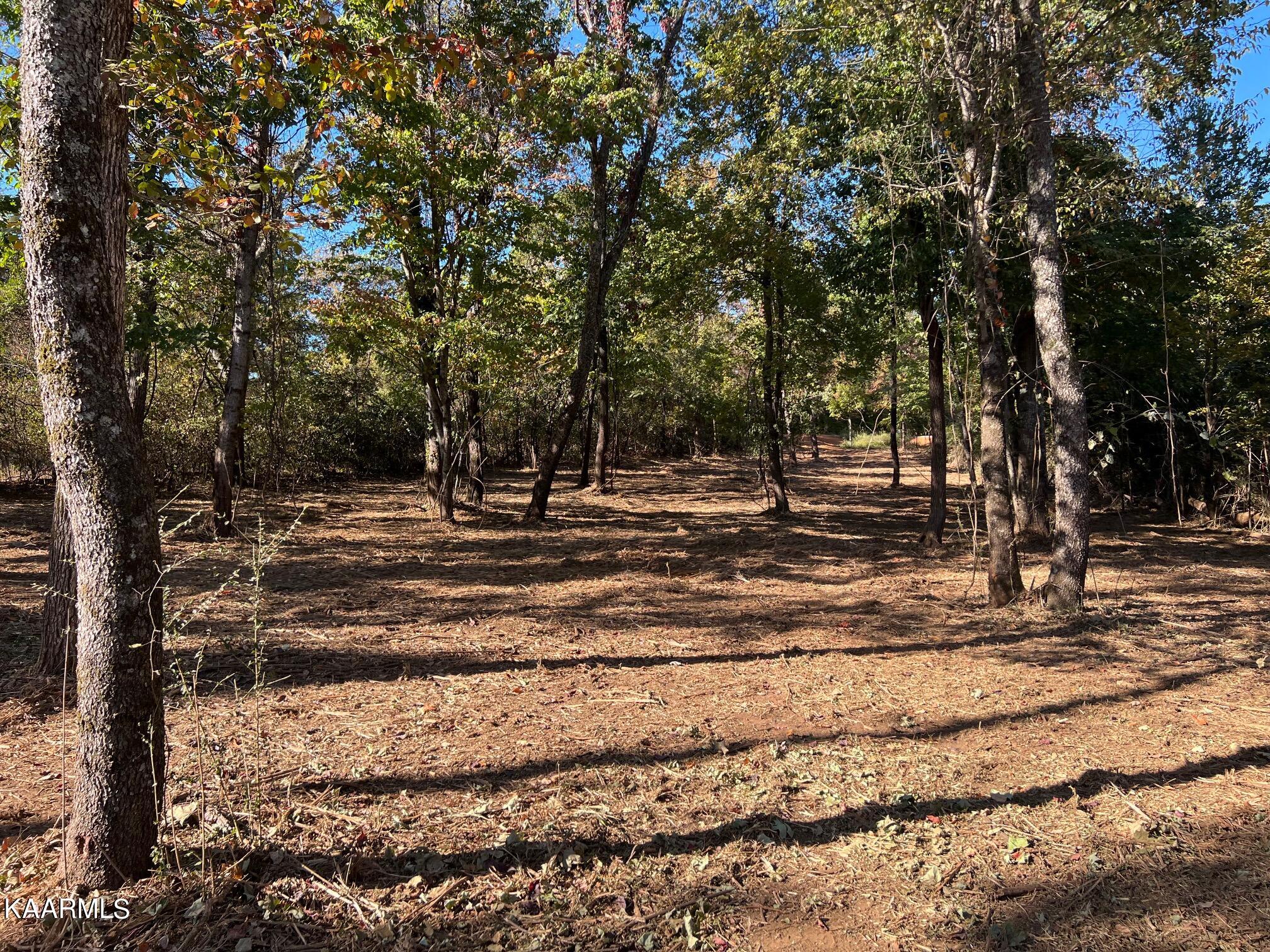 3131 Big Springs Road Friendsville, TN 37737 - Photo 20 of 28 IMG_2370