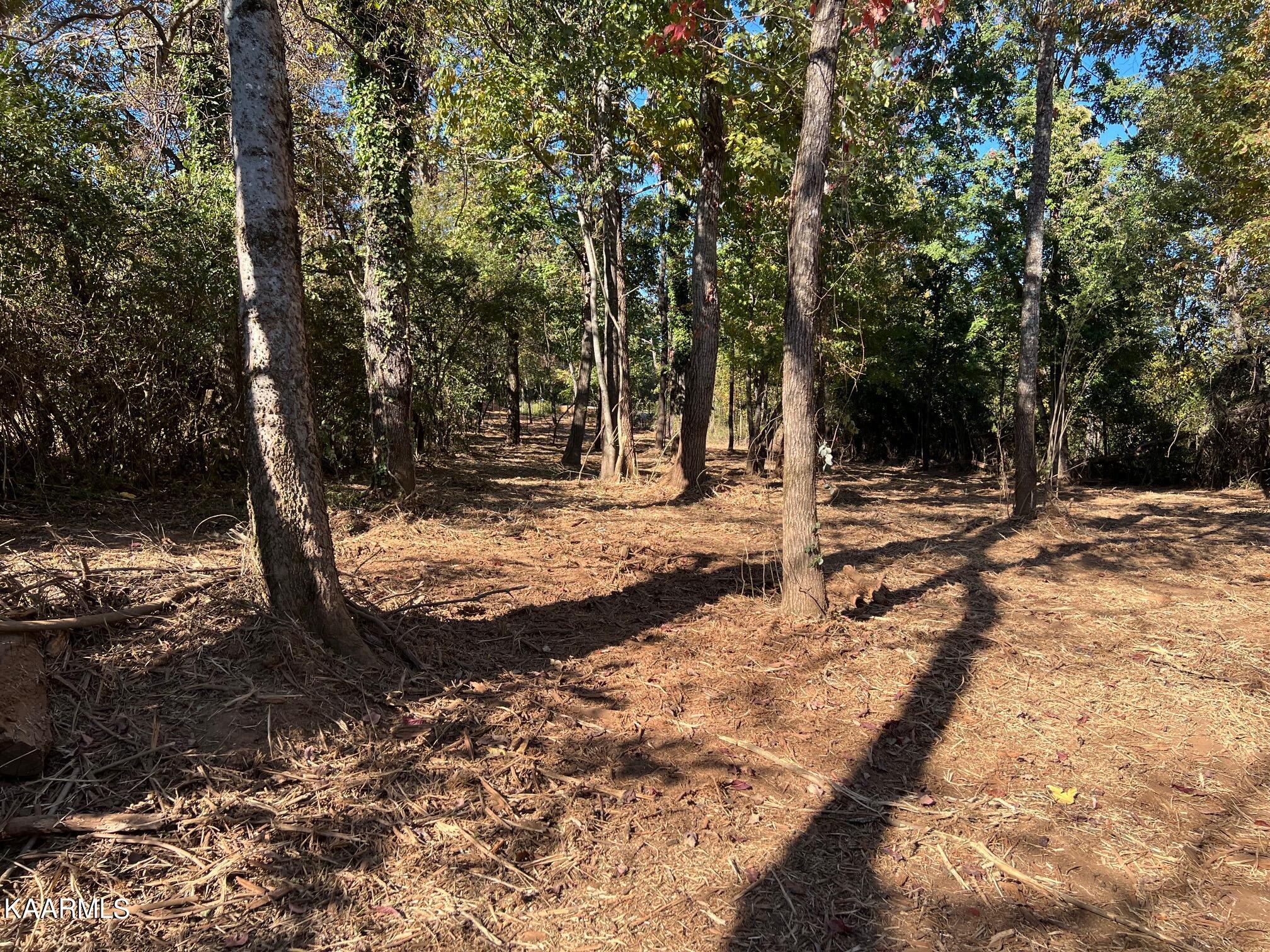 3131 Big Springs Road Friendsville, TN 37737 - Photo 22 of 28 IMG_2372