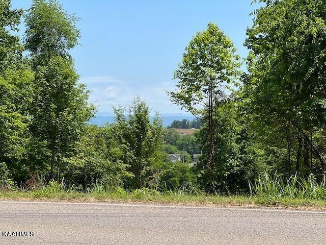 3131 Big Springs Road Friendsville, TN 37737 - Photo 28 of 28 big