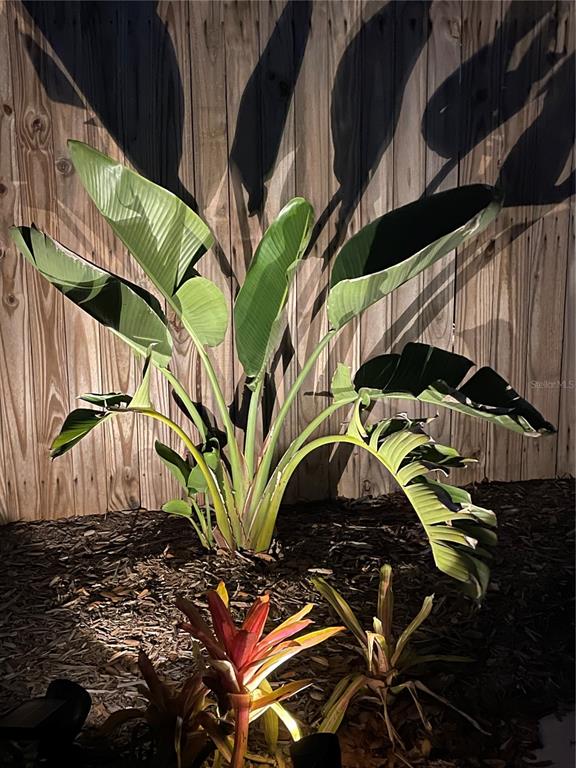 828 South Tuttle Avenue, Unit B Sarasota, FL 34237 - Photo 20 of 63 a view of a house with a plant