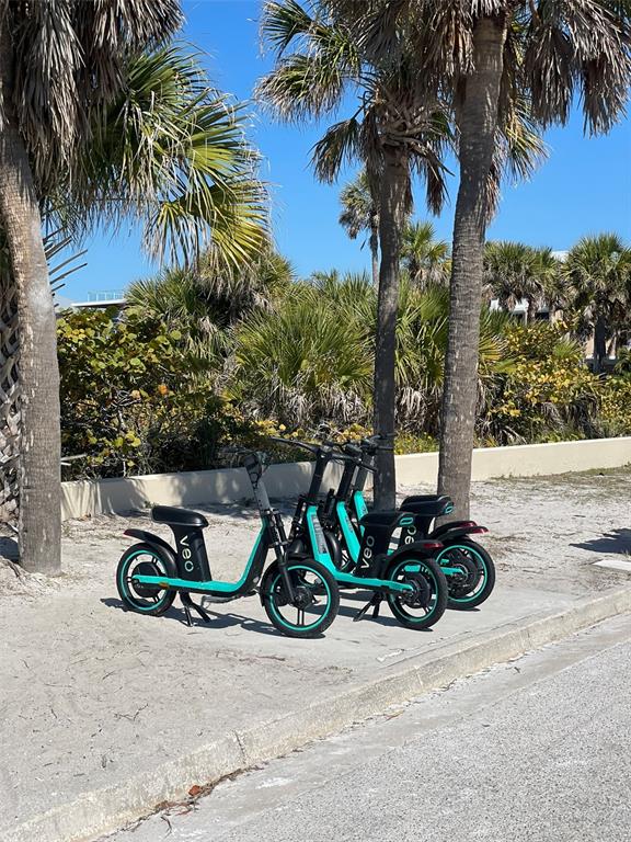 828 South Tuttle Avenue, Unit B Sarasota, FL 34237 - Photo 25 of 63 a view of outdoor space with palm trees