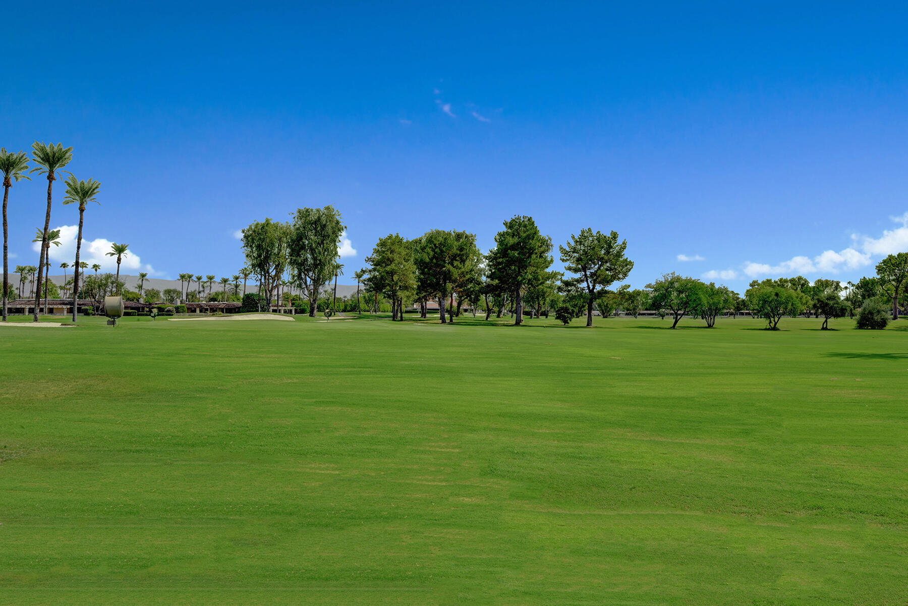 73 Princeton Drive Rancho Mirage, CA 92270 - Photo 41 of 44 a view of a grassy field with trees