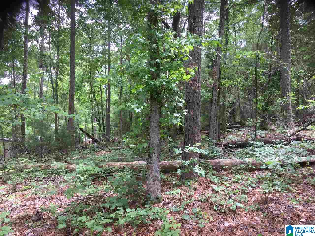 Black Acres Road, Unit 34 Odenville, AL 35120 - Photo 15 of 19