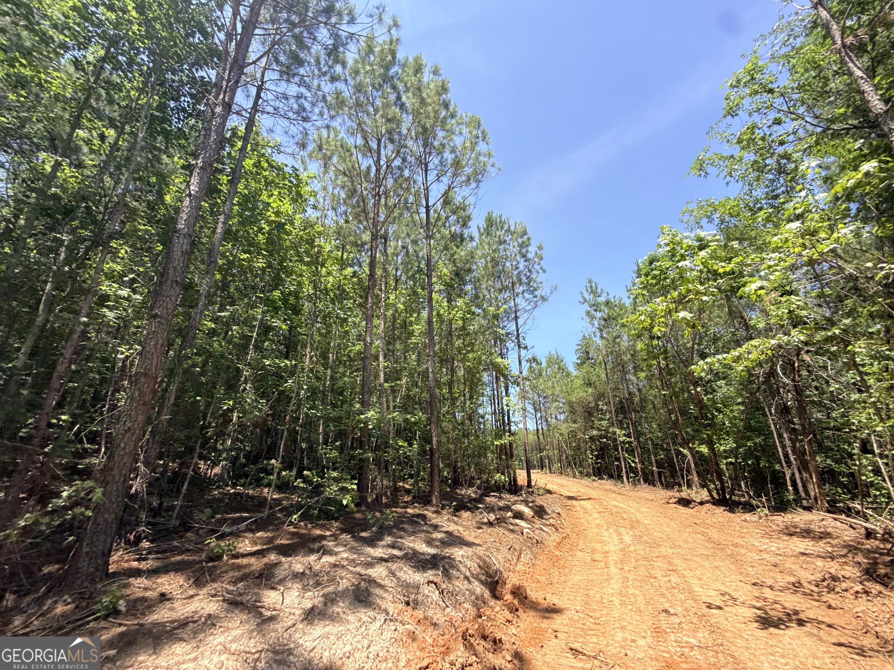 2787 Cedar Creek Road Elberton, GA 30635 - Photo 31 of 88