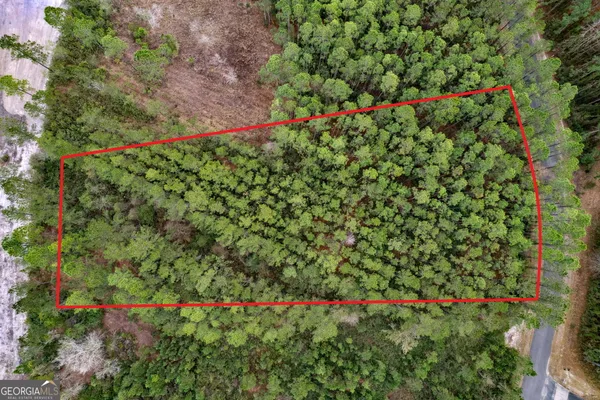 a view of a city with lush green forest